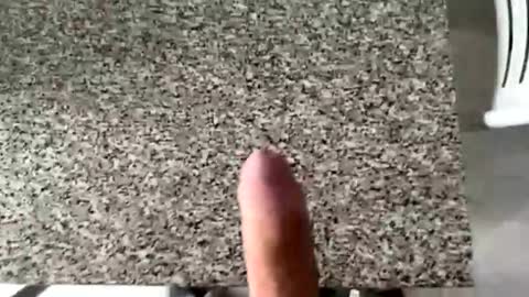 Snapshot of ilconte81 chatting on 03-10-26, 02:33 ilconte81 online show from 03-10-26, 02:33