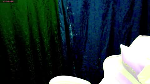 Snapshot of im_david01 chatting on 11-12-25, 01:33 im_david01 online show from 11-12-25, 01:33