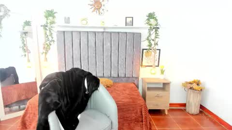 Snapshot of im_tulipan chatting on 02-25-26, 07:56 im_tulipan online show from 02-25-26, 07:56