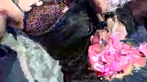 imabigolperv online show from 03-02-26, 02:03