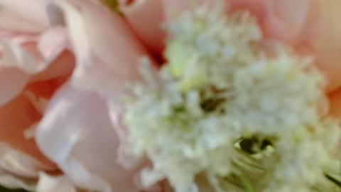 Carrie online show from 03-03-25, 04:35