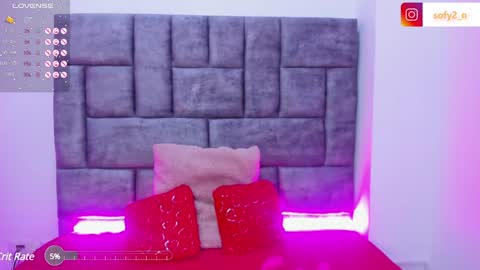 Snapshot of imsofy_1 chatting on 02-08-25, 11:45 sofy online show from 02-08-25, 11:45