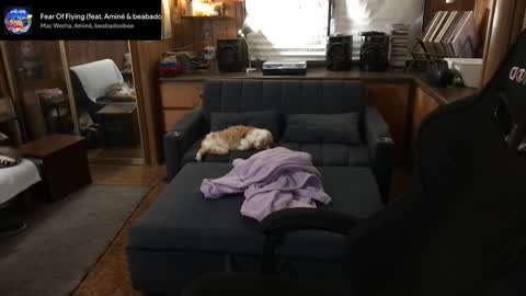 Snapshot of incognitoqueen chatting on 03-11-26, 05:35 Carter online show from 03-11-26, 05:35