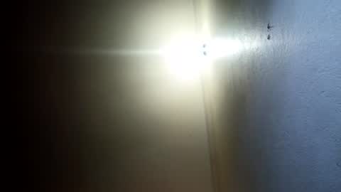 Snapshot of indian_succubus chatting on 07-19-26, 08:01 Perky baby online show from 07-19-26, 08:01