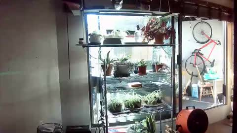 Snapshot of indigolvr chatting on 06-11-26, 02:53 BroLOU online show from 06-11-26, 02:53