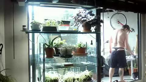Snapshot of indigolvr chatting on 06-15-26, 07:38 BroLOU online show from 06-15-26, 07:38