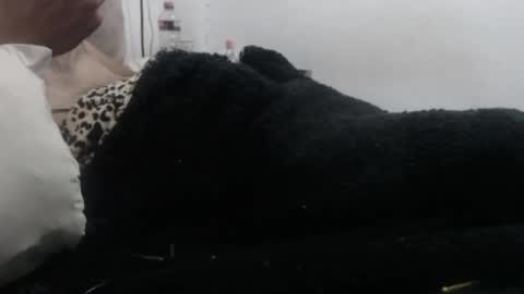 indr40ff online show from 05-14-26, 05:14