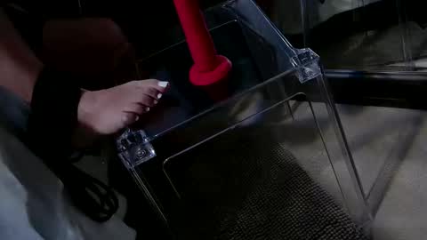 Snapshot of insatiablecpl333 chatting on 01-20-25, 09:11 InsatiableCpl333 online show from 01-20-25, 09:11