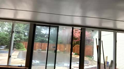 IntoTheWoodsWeGo online show from 10-30-25, 02:18