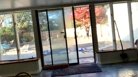 IntoTheWoodsWeGo online show from 11-13-25, 08:30