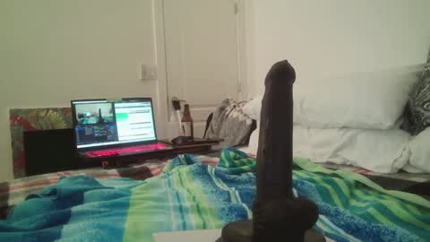 Snapshot of intrepideminence chatting on 01-25-25, 11:23 Andres online show from 01-25-25, 11:23