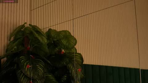 Maria online show from 10-31-25, 12:55