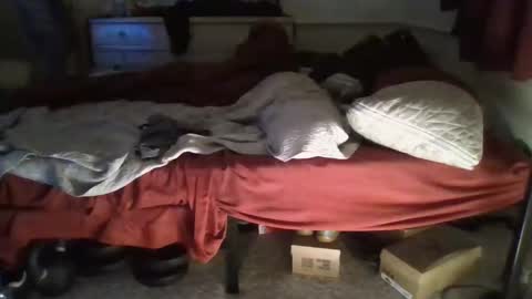 SexEngine88 online show from 12-23-25, 05:49