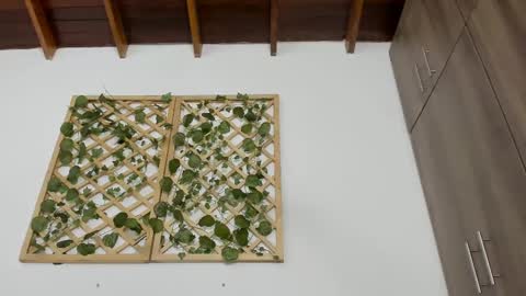 Isabella online show from 02-13-25, 10:22