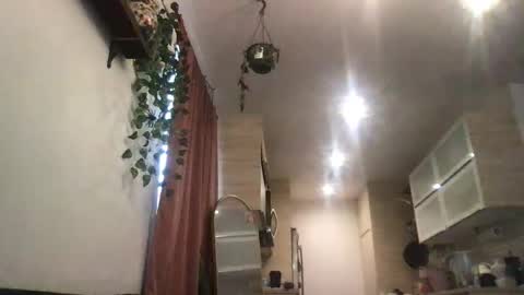 Snapshot of isabellaelizabeth chatting on 01-31-26, 08:51 isabellaelizabeth online show from 01-31-26, 08:51