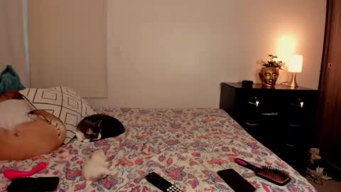 Isa online show from 10-31-25, 10:00