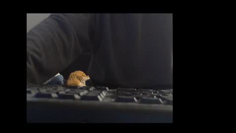 ital25usa online show from 01-10-26, 10:06