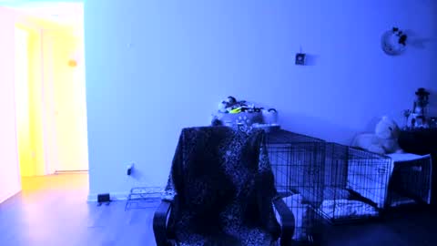 Bella Bloom online show from 07-25-26, 07:06