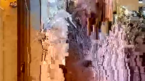 Snapshot of itsfoxie chatting on 01-18-26, 04:49 ItsFoxie online show from 01-18-26, 04:49