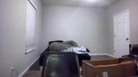 Snapshot of itstarzan chatting on 12-13-24, 07:04 TARZAN online show from 12-13-24, 07:04