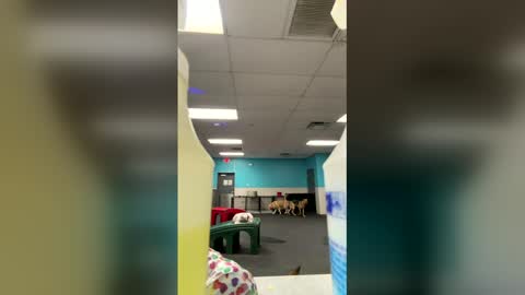 itsthatpalesiren online show from 03-20-26, 11:42