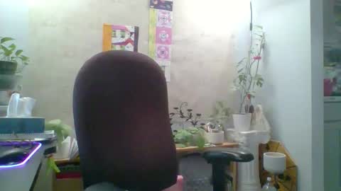 ivyjane3522 online show from 04-25-26, 11:46