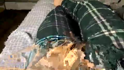 Snapshot of jaaltar chatting on 12-03-25, 02:41 Jaaltar online show from 12-03-25, 02:41