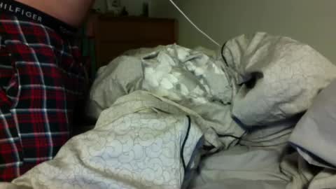 Jackbnibbled online show from 02-04-25, 09:49