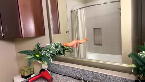 Snapshot of jacksoftboy chatting on 02-12-26, 03:45 Jack Xavier Missy online show from 02-12-26, 03:45