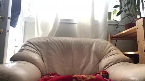 Jacob online show from 02-14-26, 04:59