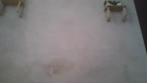 jacqueline_fernandez online show from 06-14-26, 05:09