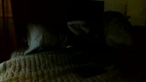 Jamacian online show from 11-07-25, 05:07