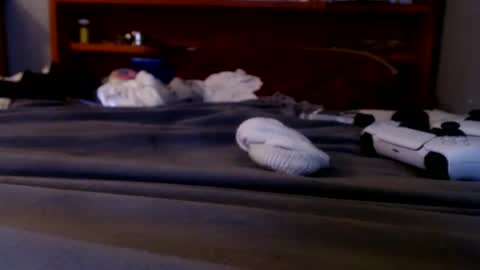 what you in too online show from 09-20-25, 02:23