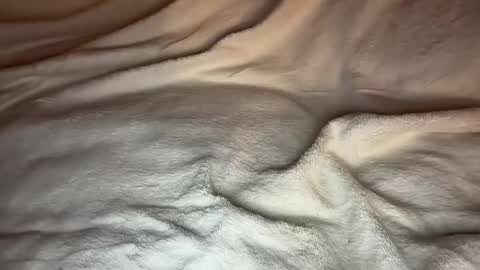 Snapshot of jamesdean0101 chatting on 01-14-26, 10:47 jamesdean0101 online show from 01-14-26, 10:47