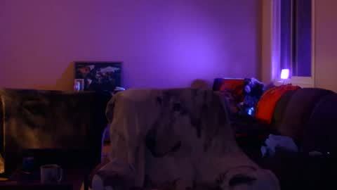 Snapshot of jameswolf777 chatting on 12-19-25, 11:17 jameswolf777 online show from 12-19-25, 11:17