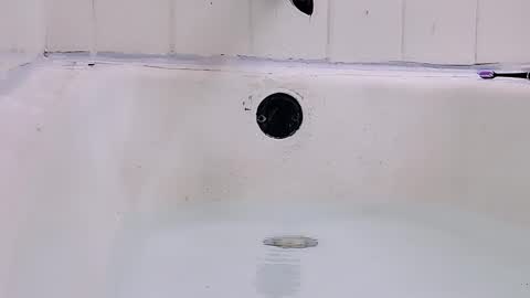 Bootyshows online show from 03-01-26, 09:17