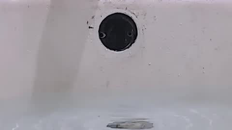 Bootyshows online show from 03-15-26, 01:28