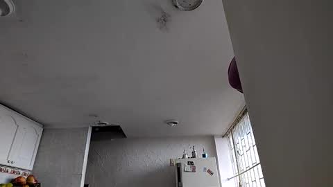 Snapshot of janariivera1 chatting on 01-06-26, 04:54 janariivera1 online show from 01-06-26, 04:54