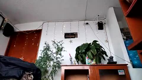 Snapshot of janariivera1 chatting on 02-11-26, 02:44 janariivera1 online show from 02-11-26, 02:44