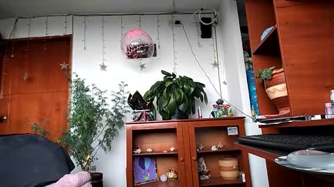 Snapshot of janariivera1 chatting on 03-24-26, 04:56 janariivera1 online show from 03-24-26, 04:56