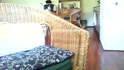 jani56 online show from 05-06-26, 06:19