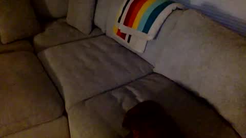 Snapshot of janicepepper chatting on 05-21-26, 08:54 janicepepper online show from 05-21-26, 08:54