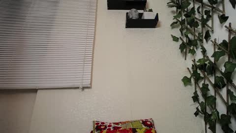 Snapshot of jasson_king01 chatting on 01-23-25, 04:09 JKing online show from 01-23-25, 04:09