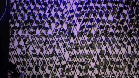 Snapshot of jasson_king01 chatting on 09-11-25, 11:05 JKing online show from 09-11-25, 11:05