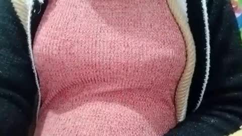 jasspreettt online show from 01-04-25, 05:48