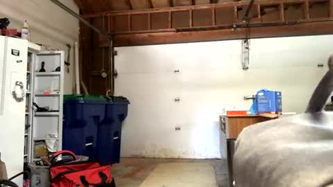 Snapshot of jawssharkparty chatting on 09-12-25, 07:36 Jaws online show from 09-12-25, 07:36