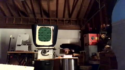 Snapshot of jawssharkparty chatting on 10-11-25, 04:22 Jaws online show from 10-11-25, 04:22