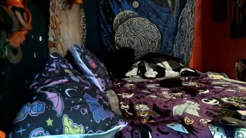 jaxxx666 online show from 02-12-25, 10:46