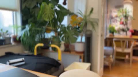 Snapshot of jaxz29 chatting on 02-20-26, 08:20 jaxz29 online show from 02-20-26, 08:20