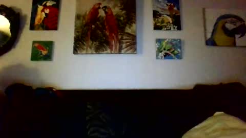 Snapshot of jay_jay1475 chatting on 12-17-24, 12:56 jay-jay1475 online show from 12-17-24, 12:56